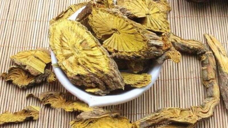Dược liệu hoàng đằng chứa các thành phần như isoquinolein, berberin, jatrorrhizin...