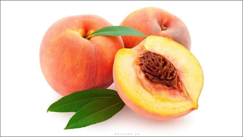 Đào nhân có tới hơn 50% là dầu