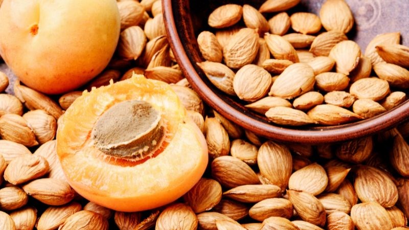 Liều dùng đào nhân được khuyến cáo trong khoảng 4,5 - 9g mỗi ngày