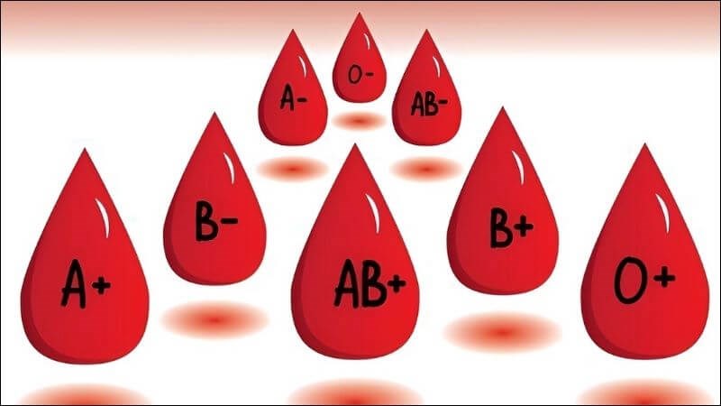 Hệ ABO thành 8 nhóm máu phổ biến là A+, A-, B+, B-, O+, O-, AB+, AB-