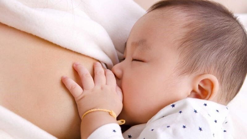 Lá chè vằng khô nấu nước uống có tác dụng lợi sữa và ngăn ngừa nhiễm khuẩn sau sinh