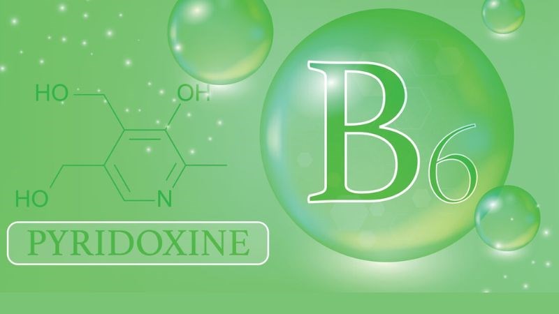 Vitamin B6 (pyridoxine) là một vitamin tan trong nước