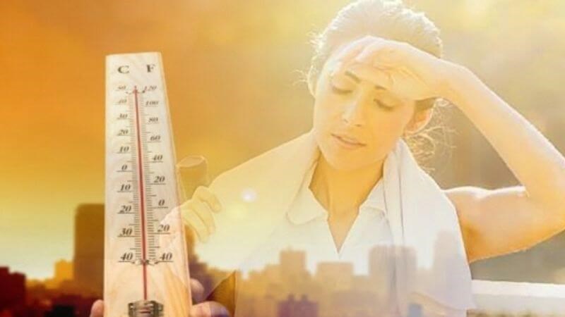 Đậu xanh cũng chứa các chất chống oxy hóa như vitexin và isovitexin, có thể giúp bảo vệ tế bào khỏi tổn thương do tác động của ánh nắng mặt trời