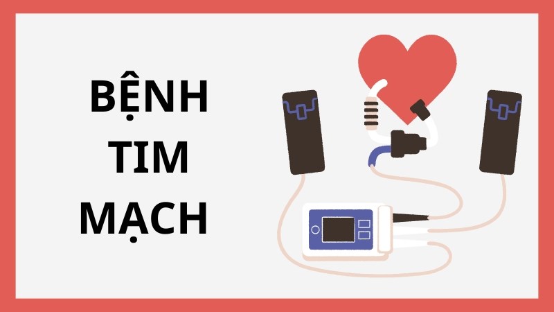 Bệnh tim mạch là yếu tố cản trở sự lưu thông máu