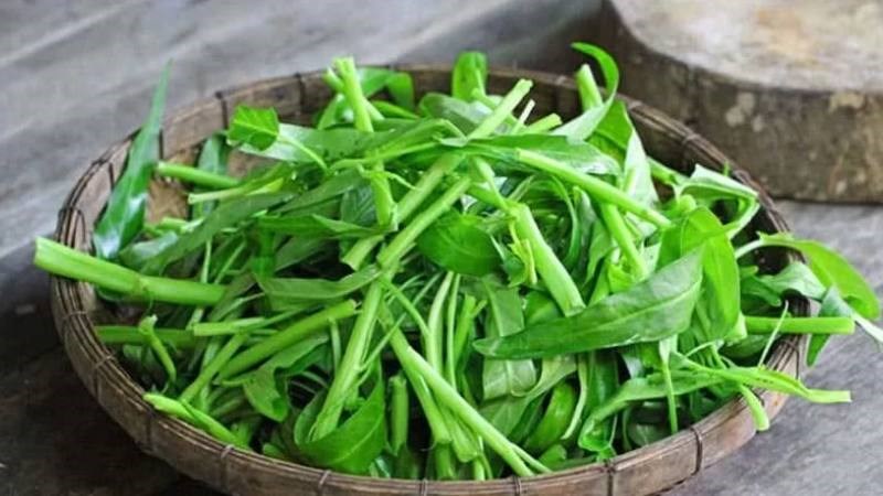 Ăn rau muống sau khi nặn mụn thúc đẩy collagen sản xuất quá mức gây sẹo lồi