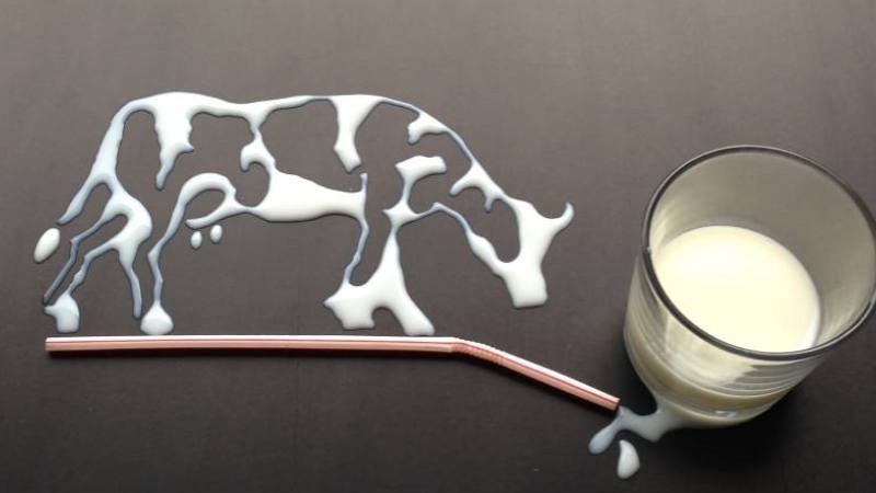 Sữa bò chứa một số hormone kích thích sản xuất bã nhờn gây ra mụn trứng cá