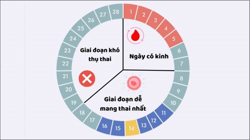 Người có chu kỳ ngắn quan hệ 4 ngày sau khi kết thúc kinh nguyệt vẫn có thể mang thai