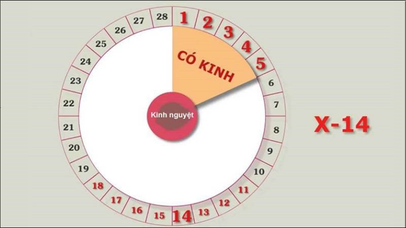 Tính sai ngày chu kỳ có thể dẫn đến dễ thụ thai
