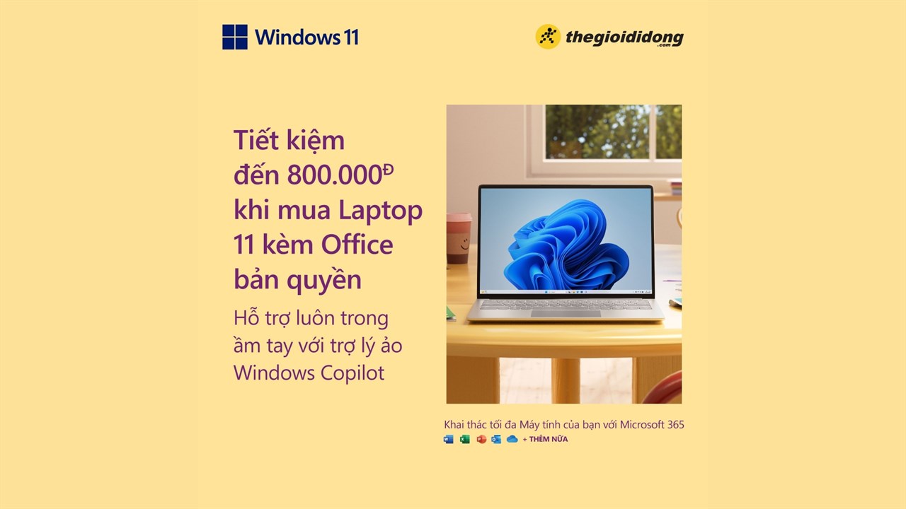 Windows 11