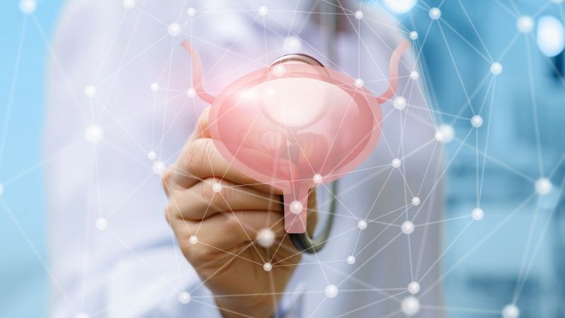 Các bệnh lý về bàng quang là một trong những nguyên nhân gây ra cảm giác thường xuyên buồn tiểu ở nữ