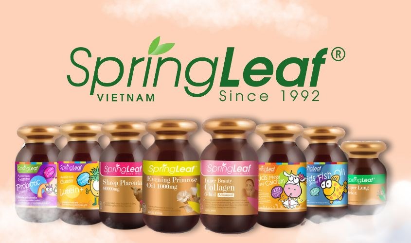 Thương hiệu Springleaf Thương hiệu Springleaf