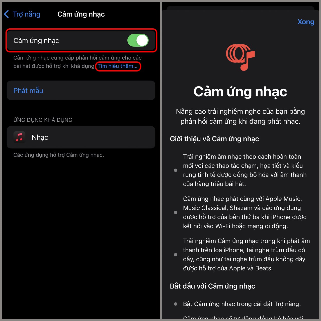 Cách bật cảm ứng nhạc trên iOS 18