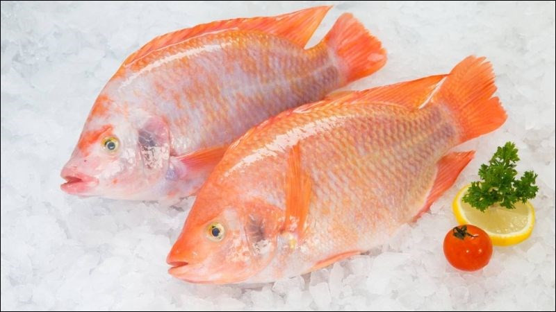 100g cá diêu hồng cung cấp khoảng 96 calo 100g cá diêu hồng cung cấp khoảng 96 calo