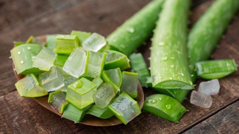 Nha đam gi&uacute;p điều chỉnh c&aacute;c loại hormone v&agrave; c&oacute; t&aacute;c dụng chữa trị rối loạn kinh nguyệt