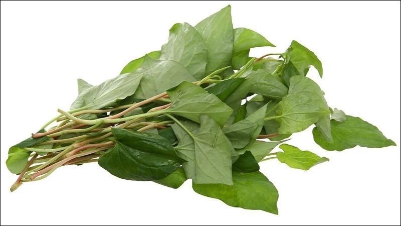 Rau diếp c&aacute; c&oacute; t&aacute;c dụng l&agrave;m th&ocirc;ng kinh mạch, lưu th&ocirc;ng m&aacute;u huyết, chống ứ trệ m&aacute;u kinh