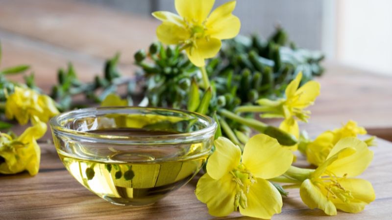 Dầu hoa anh thảo được sử dụng để giải quyết nhiều vấn đề sức khỏe của phụ nữ