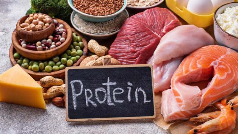 Protein đóng vai trò quan trọng cho quá trình tổng hợp hormone bị rối loạn trong PCOS