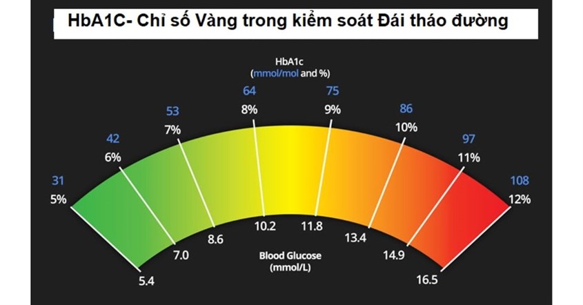 Chỉ số HbA1c phản ánh tình trạng kiểm soát đường huyết trong suốt quá trình 3 tháng.