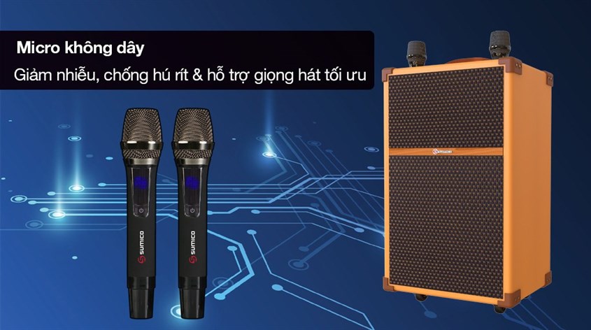 Loa có đi kèm 2 micro không dây