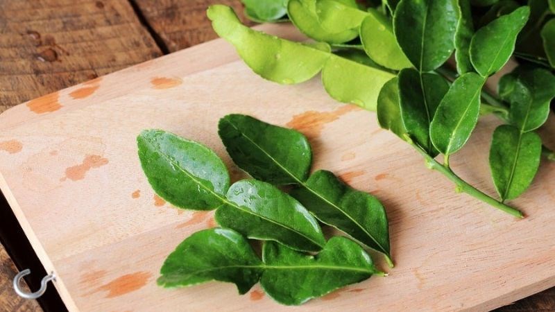 Lá chanh có hình bầu dục thuôn dài, mép lá có thể có răng cưa