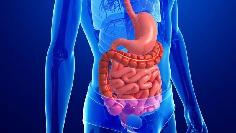 Lá chanh kích thích tiết enzym tiêu hóa giúp cải thiện quá trình tiêu hóa và hấp thụ 