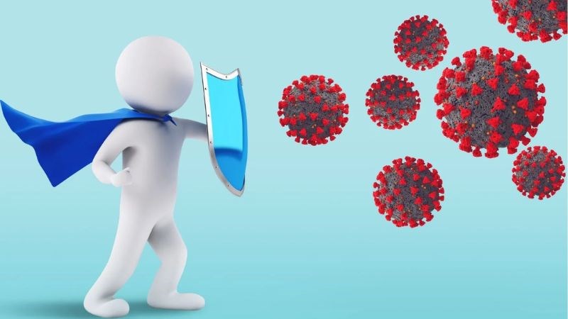 Lá chanh có thể hỗ trợ tăng cường chức năng của hệ thống miễn dịch