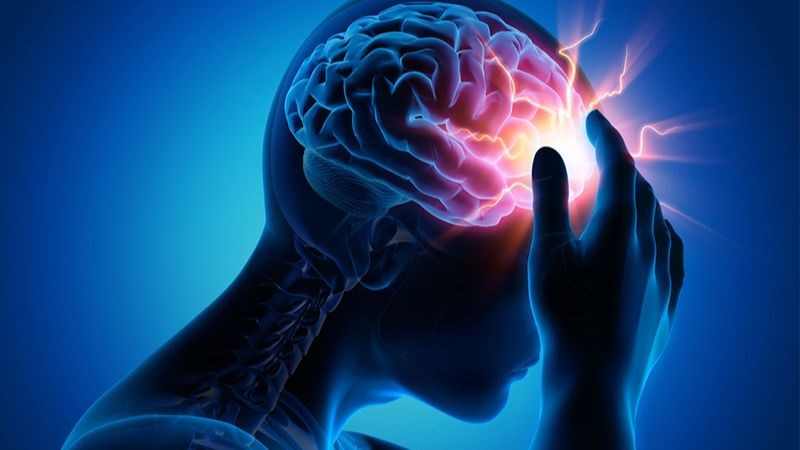 Xạ hương có tác dụng hỗ trợ điều trị thiếu máu não