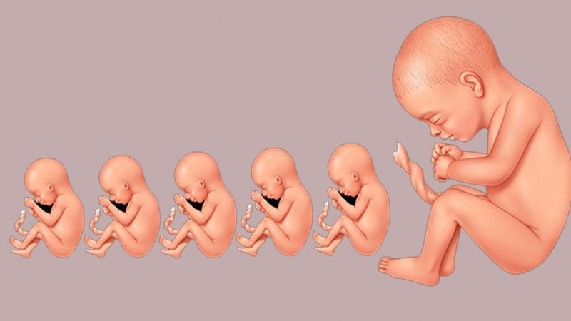 Dưa hấu chứa nhiều khoáng chất có lợi cho sự hình thành xương của thai nhi