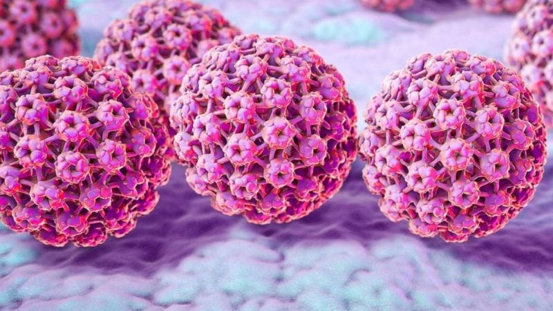 HPV là nguyên nhân chủ yếu gây ung thư cổ tử cung HPV là nguyên nhân chủ yếu gây ung thư cổ tử cung
