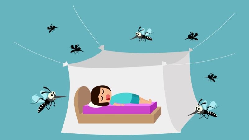 Đảm bảo luôn ngủ màn để tránh muỗi đốt