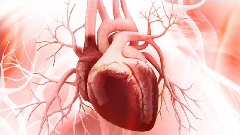 Suy tim có thể gây ra cổ trướng Suy tim có thể gây ra cổ trướng