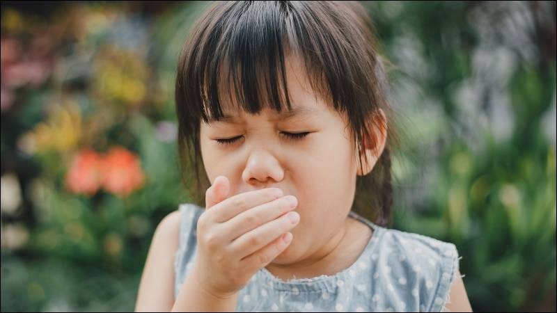 Ho có đờm là một trong những triệu chứng của  viêm phế quản cấp