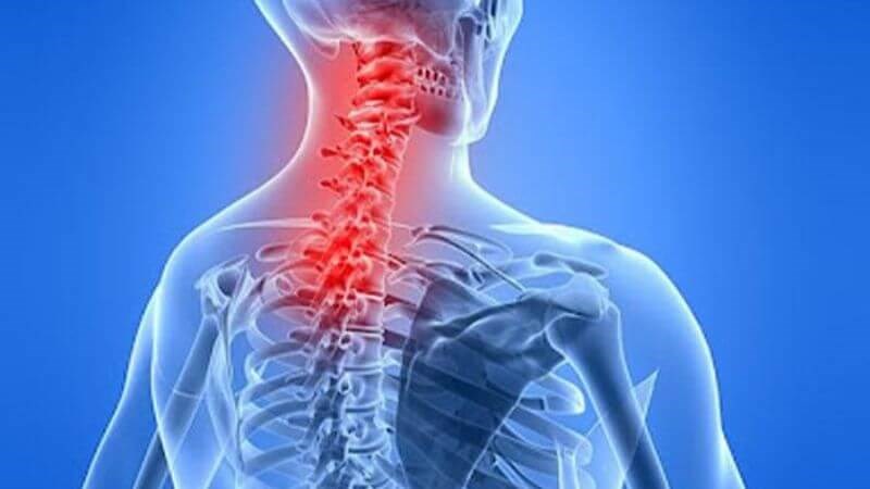 Cột sống cổ bao gồm 7 đốt sống đầu tiên Cột sống cổ bao gồm 7 đốt sống đầu tiên