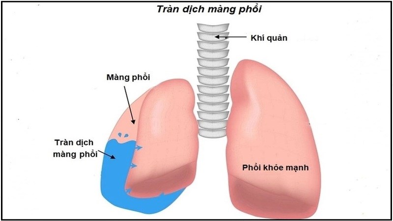 7. Nghiên cứu và các phương pháp điều trị mới