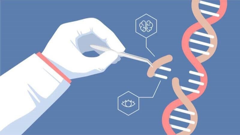 Xét nghiệm PCR giúp chẩn đoán người bệnh có mắc Ebola hay không