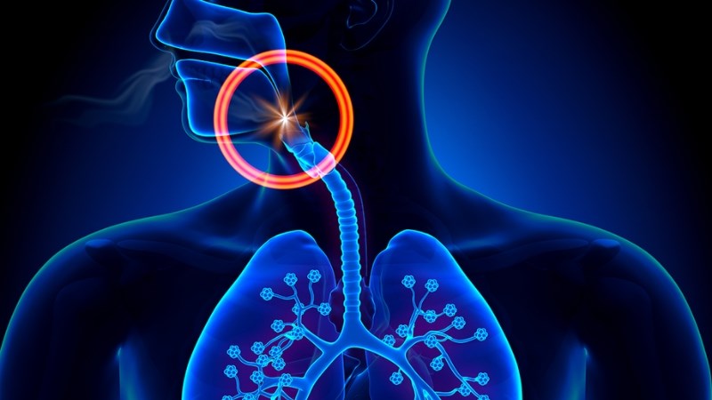 Dị vật trong mũi có thể rơi xuống đường thở và phổi Dị vật trong mũi có thể rơi xuống đường thở và phổi