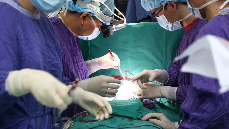 Chưa có cách chữa khỏi bệnh dại sau khi đã xuất hiện các triệu chứng lâm sàng