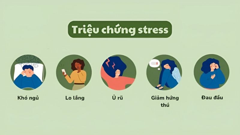 Các biểu hiện thường gặp khi bị stress