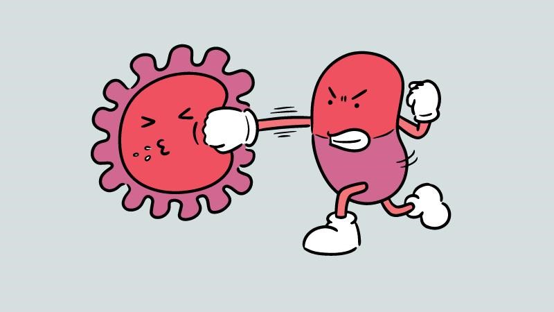 Viêm nội tâm mạc do vi khuẩn bán cấp được điều trị bằng kháng sinh