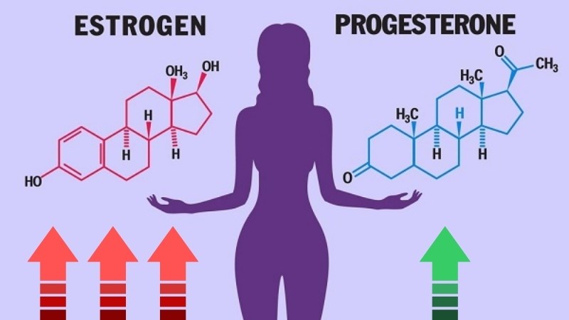 Estrogen và progesterone có liên quan đến nguy cơ mắc ung thư nội mạc tử cung Estrogen và progesterone có liên quan đến nguy cơ mắc ung thư nội mạc tử cung