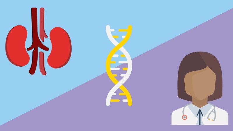 Bệnh thận đa nang là bệnh di truyền trên nhiễm sắc thể thường