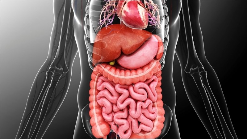 U thần kinh nội tiết có thể phát triển trên nhiều cơ quan khác nhau