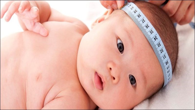 Người nhà nên cho trẻ tới khám khi có dấu hiệu vòng đầu nhỏ Người nhà nên cho trẻ tới khám khi có dấu hiệu vòng đầu nhỏ