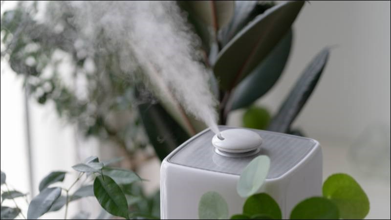 Sử dụng máy tạo độ ẩm trong nhà giúp hạn chế khô da gây chàm đồng tiền