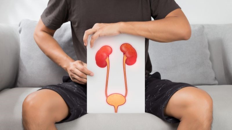 Nhiễm trùng đường tiết niệu có thể gây ra bí tiểu Nhiễm trùng đường tiết niệu có thể gây ra bí tiểu