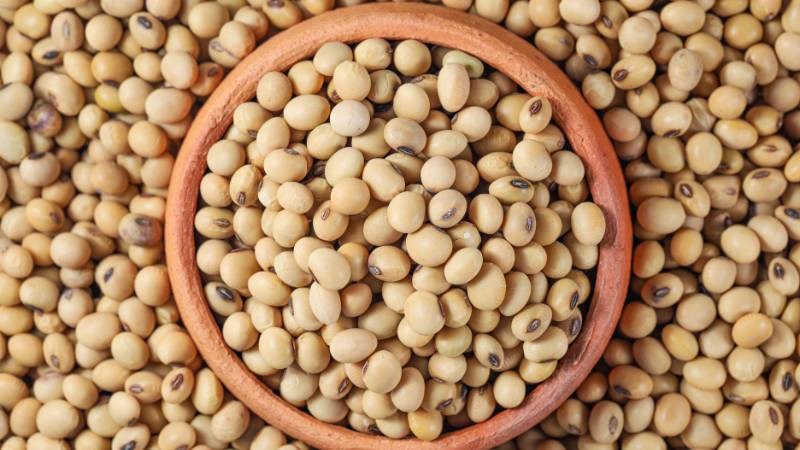 Estrogen thực vật có thể giúp giảm nhẹ bốc hỏa