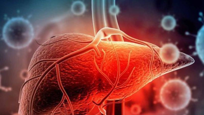 Triệu chứng phổ biến của viêm gan cấp là đau bụng trên bên phải