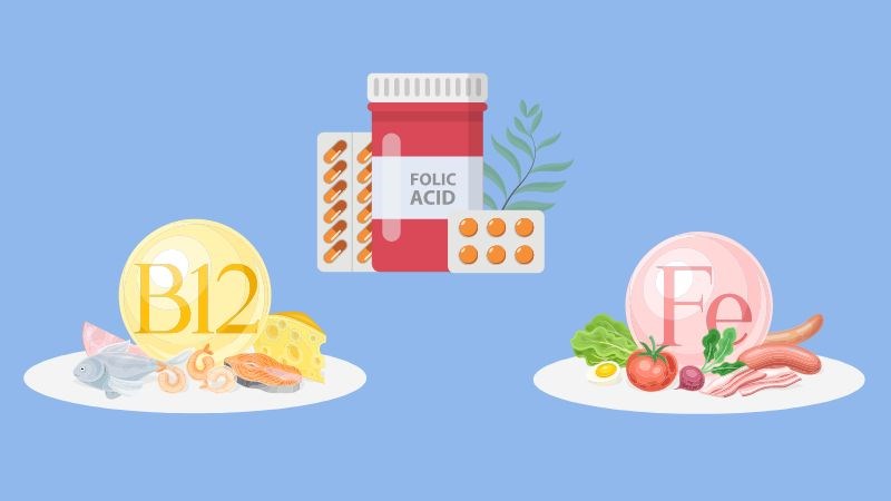 Bổ sung các chất dinh dưỡng cần thiết để tạo máu giúp điều trị da xanh xao
