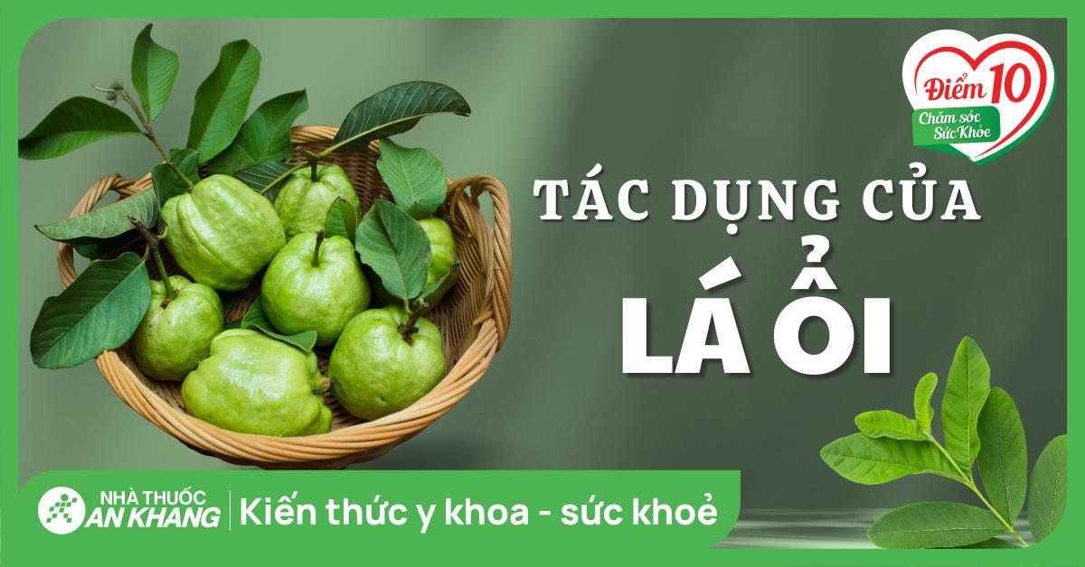 15 tác dụng của lá ổi với sức khỏe bạn không nên bỏ qua
