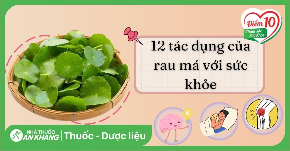 12 tác dụng của rau má với sức khỏe bạn nên biết